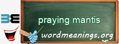 WordMeaning blackboard for praying mantis